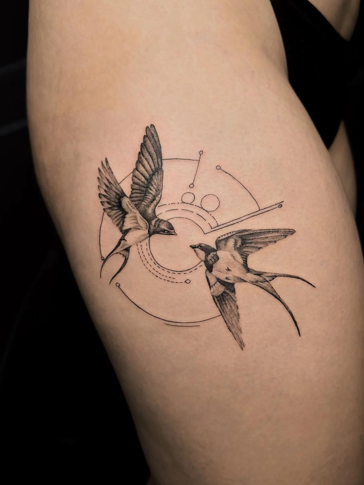 Swallows and geometry fineline tattoo in Prague by Andrey Kovalov